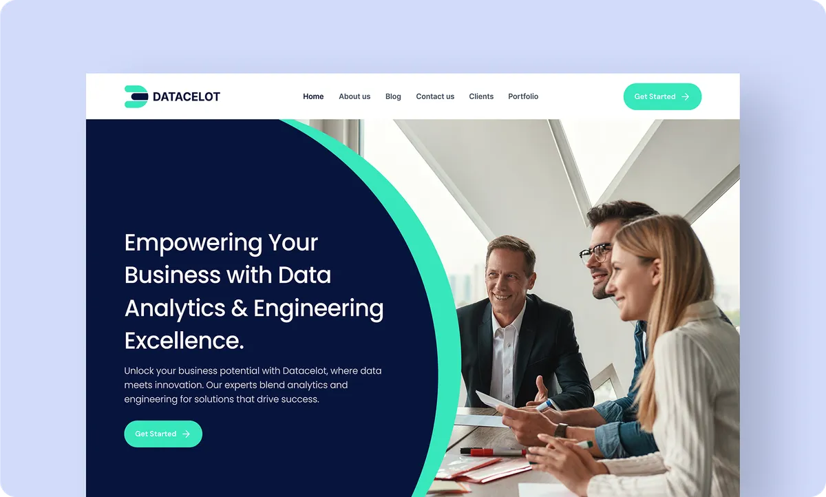 DataCelot consultancy website